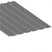 C10 RAL 7004
